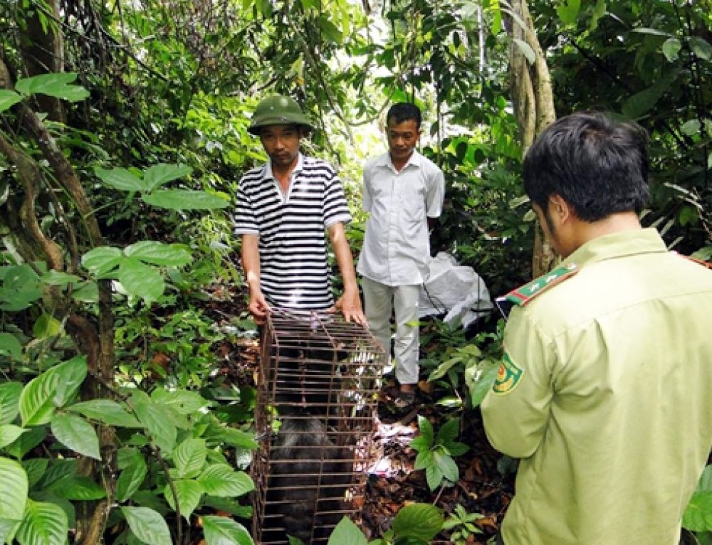 Solutions to conserve biodiversity of Cat Ba National Park