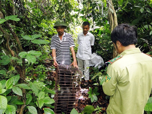 Solutions to conserve biodiversity of Cat Ba National Park